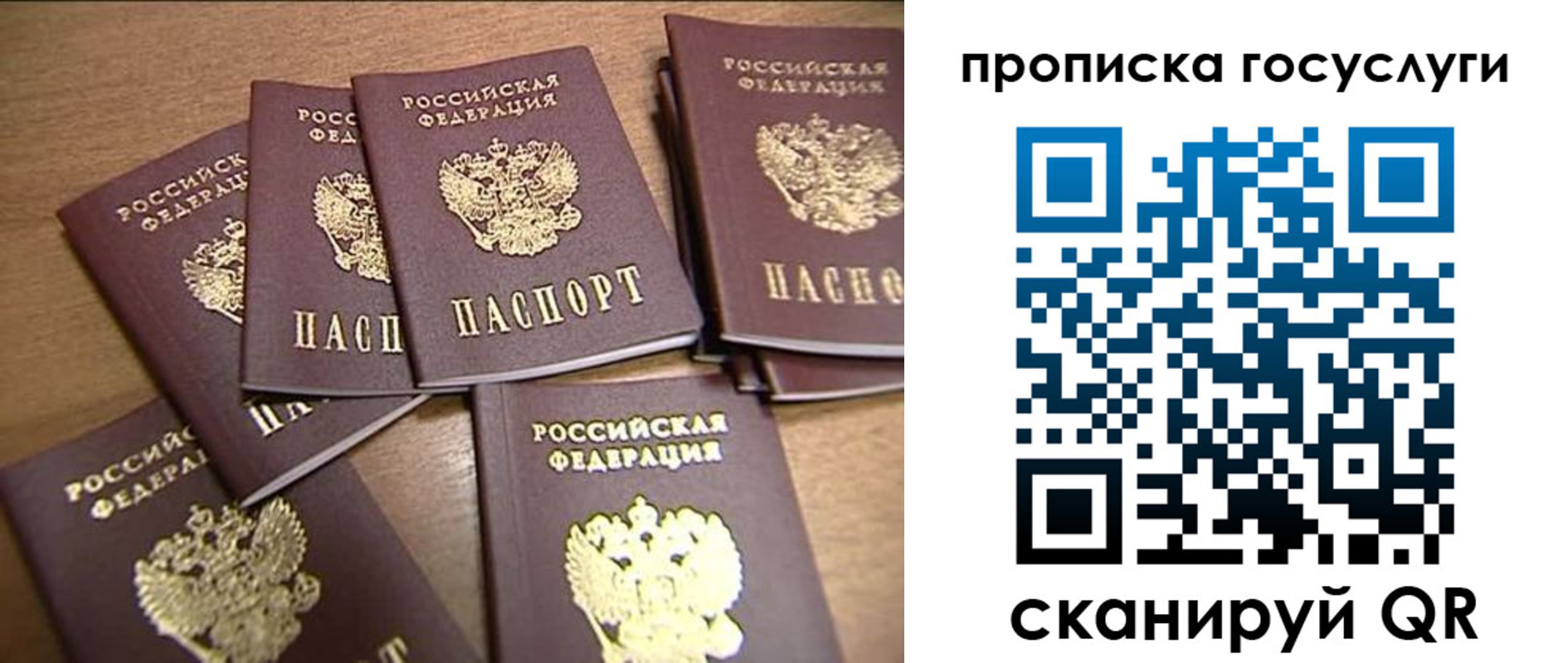 прописка для работы в Читинской области